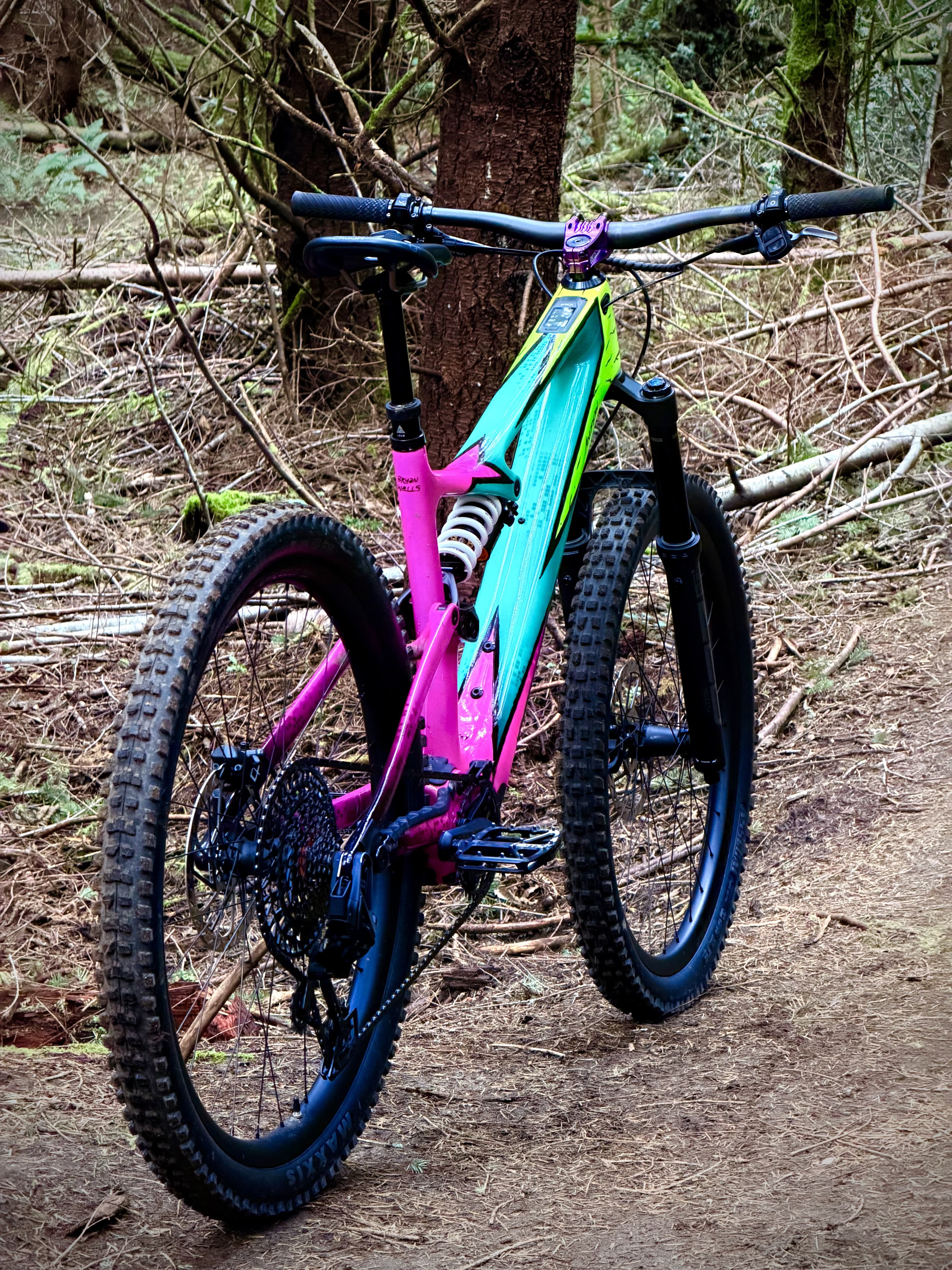 Custom frame paint work