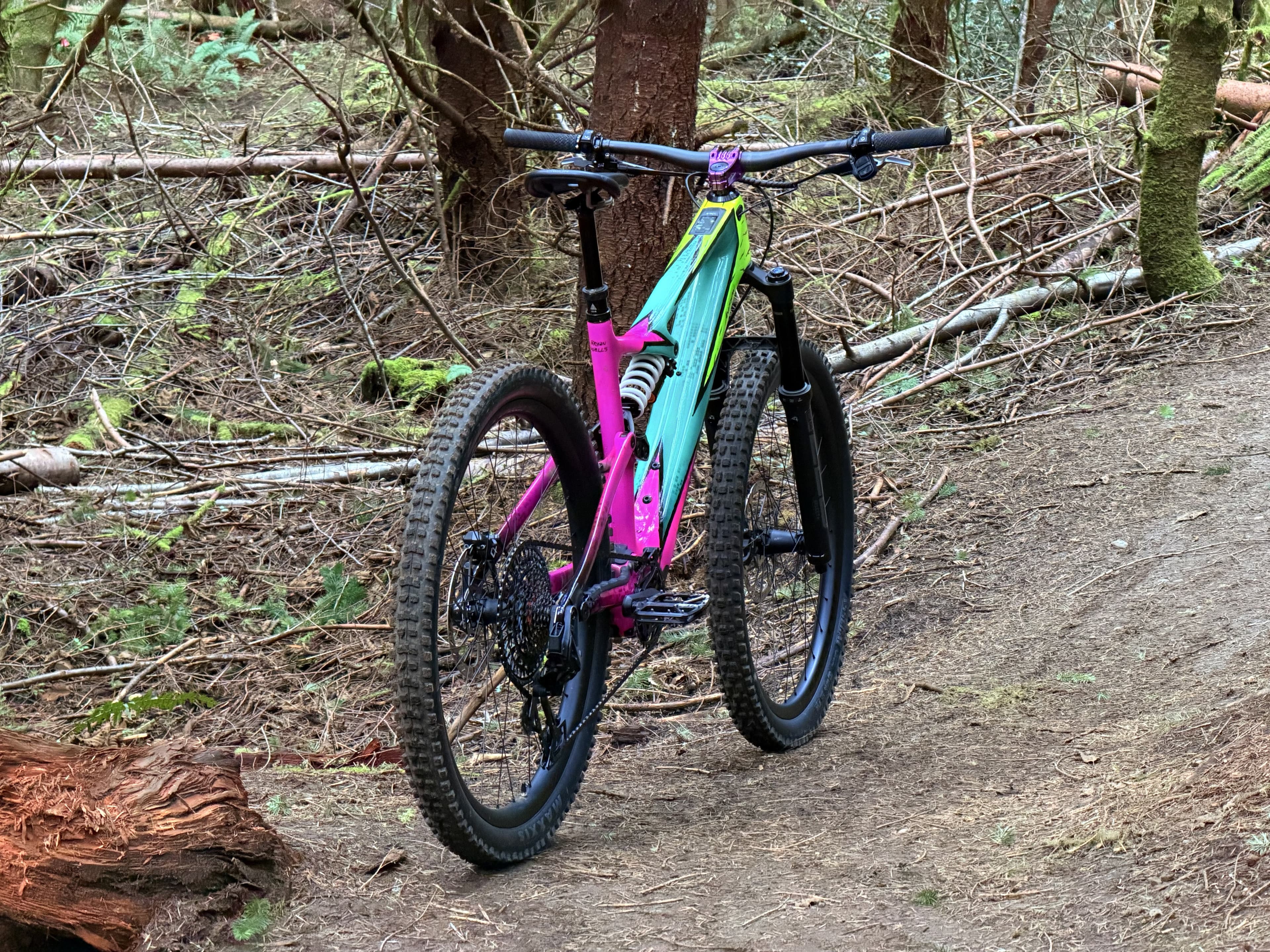 Custom paint work 10